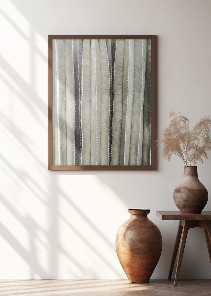 Cactiriver Poster